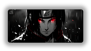 The Big Brother
