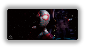 Black-Mask Spider
